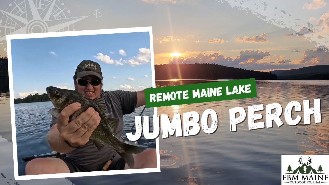 Fishing a Remote Maine Lake: A Kayak, Perch Fishing Extravaganza #perch #fishing #maine