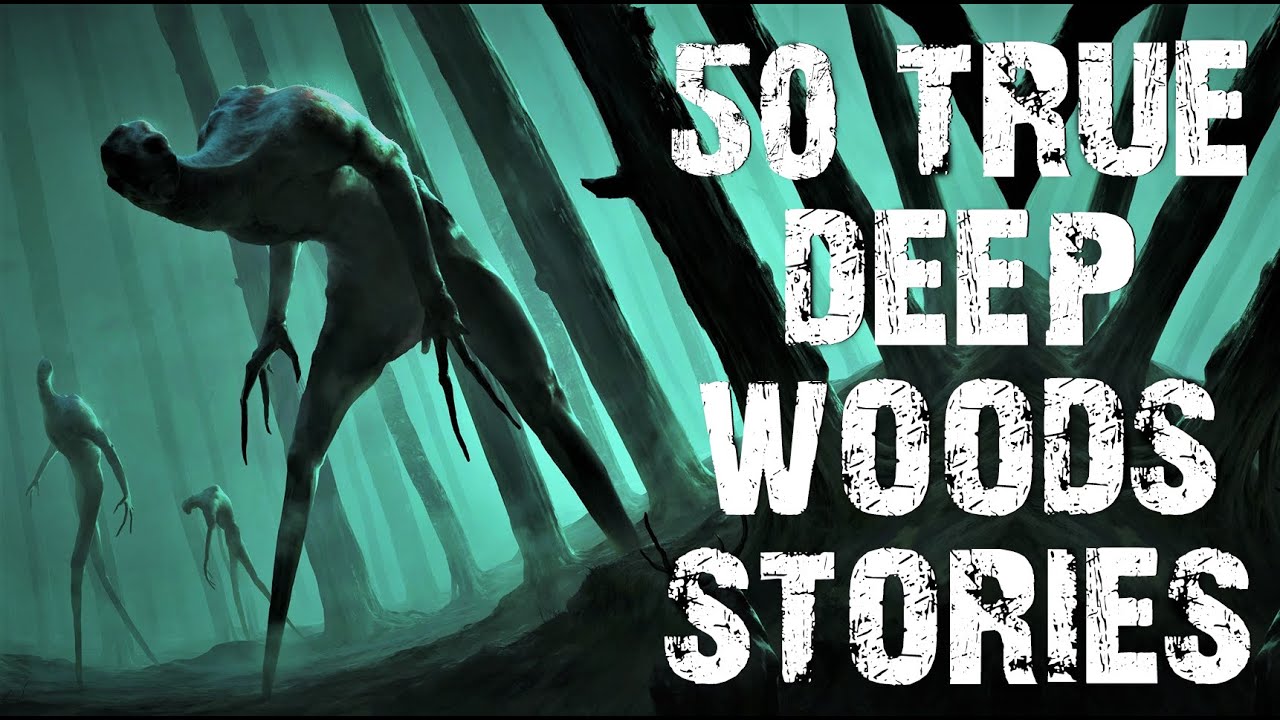50 TRUE Disturbing Deep Woods & Cryptid Stories Told In The Rain | Scary Stories to fall asleep to