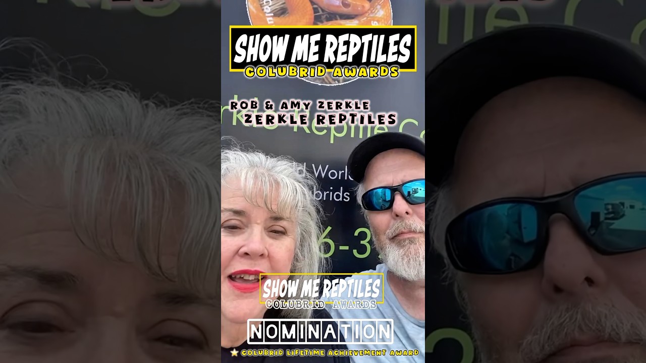 Show Me Reptiles Colubrid Community Best of 2025 Awards Nominee: ROB & AMY ZERKLE ZERKLE REPTILE CO
