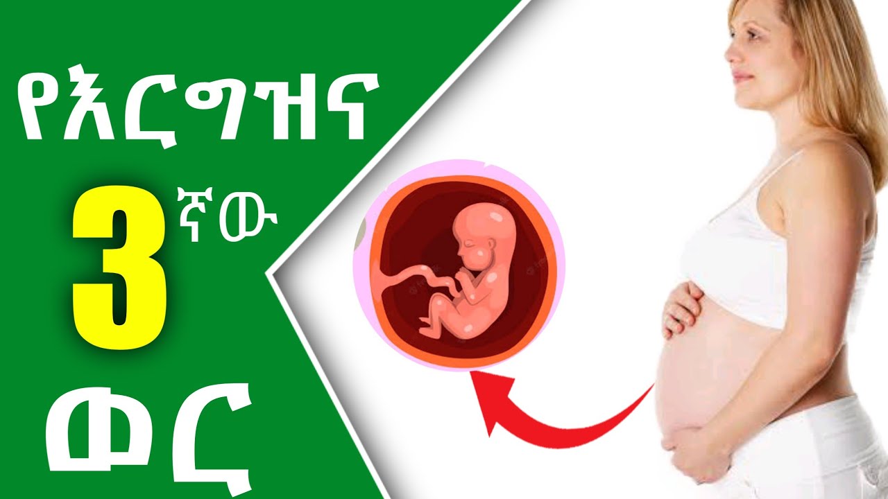 🔴 የእርግዝና ሶስተኛው ወር