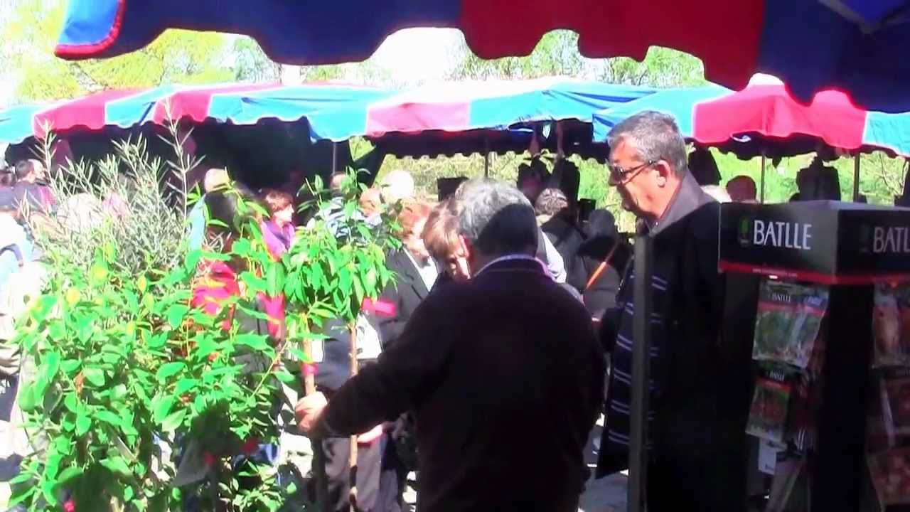 Petit tour au march&eacute; de Tordera