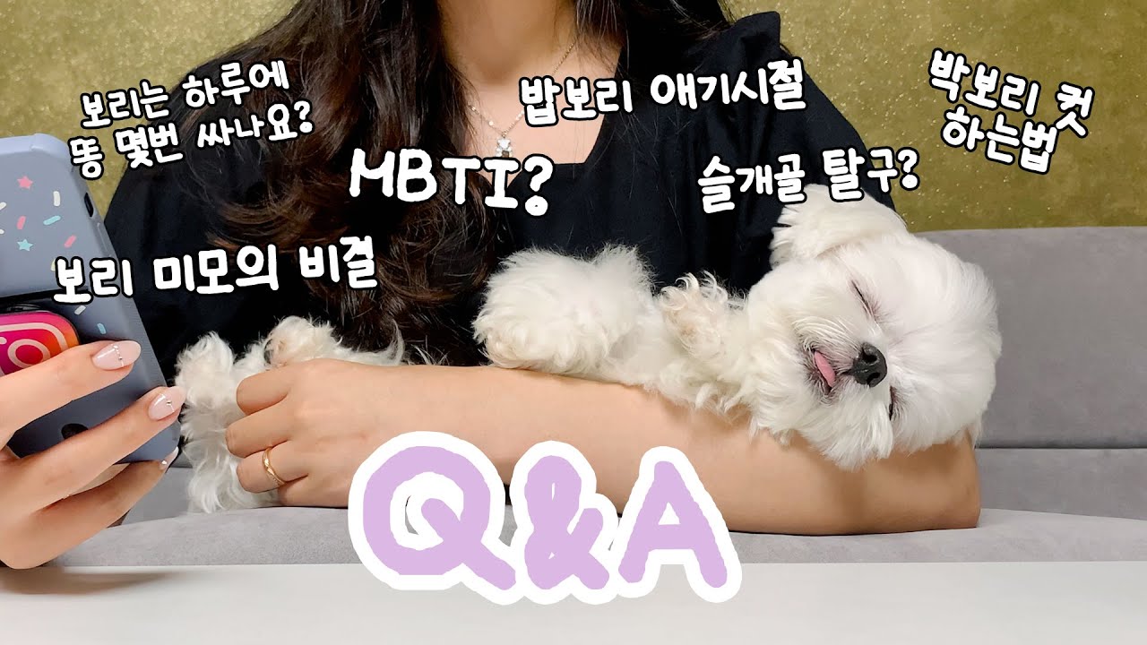 20만 기념 눕방 아니고 큐엔에이 Q&A♥️