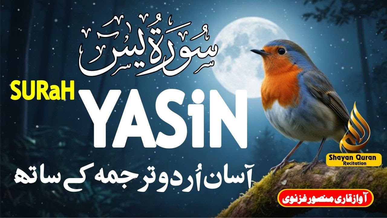 Surah Yasin Full with Urdu & Hindi Translation | Heart of Quran | سورة يس | Qari Mansoor Ghzanavi
