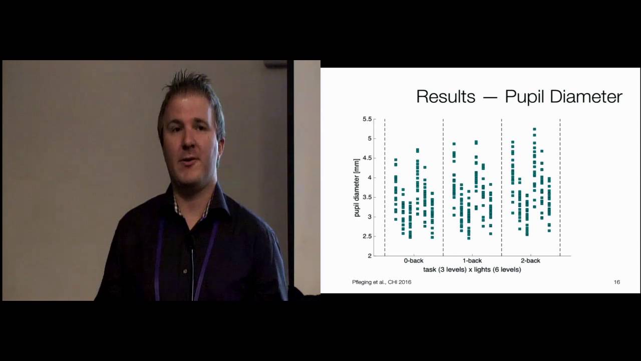 A Model Relating Pupil Diameter to Mental Workload and Lighting Conditions