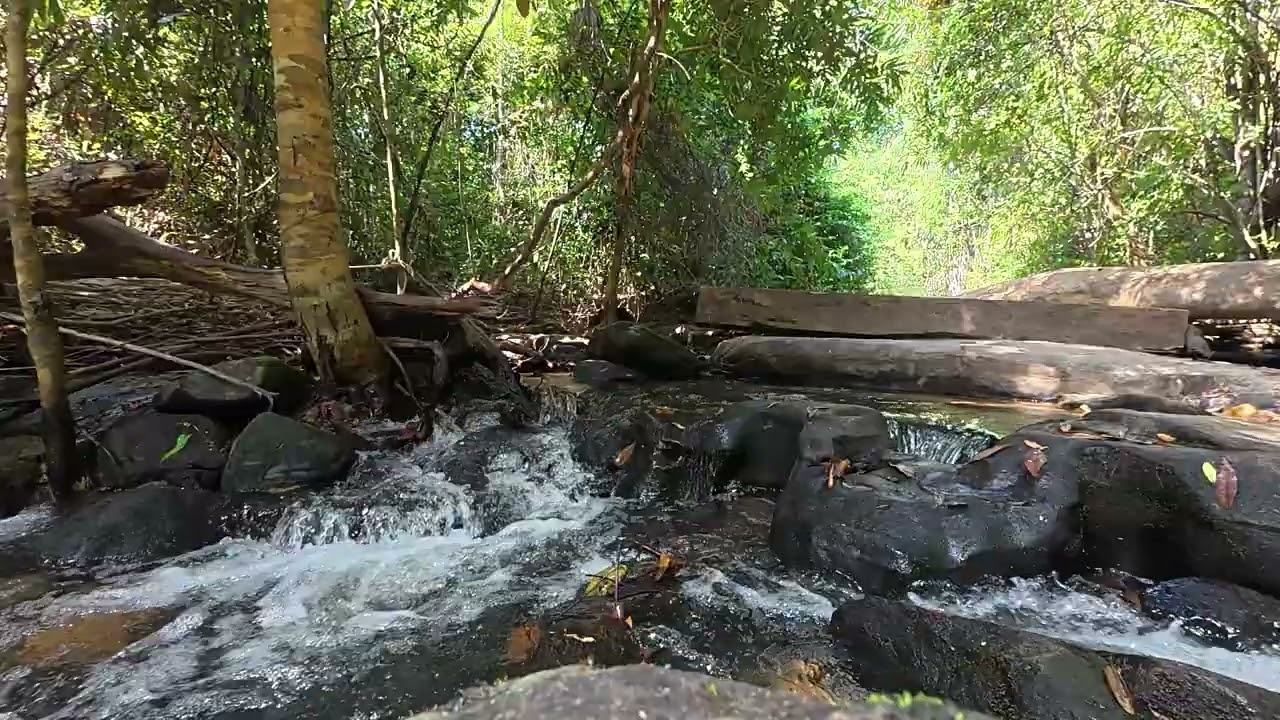 Let Go of Stress Instantly | Gentle Piano Music & Soothing Water Sounds
