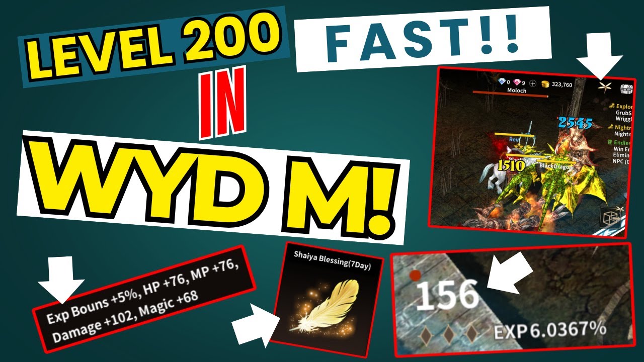 How to Reach Level 200 in WYD M in Just 2 Days | NEW RMT GAME | EARN WHILE PLAYING | WYD M Hack!