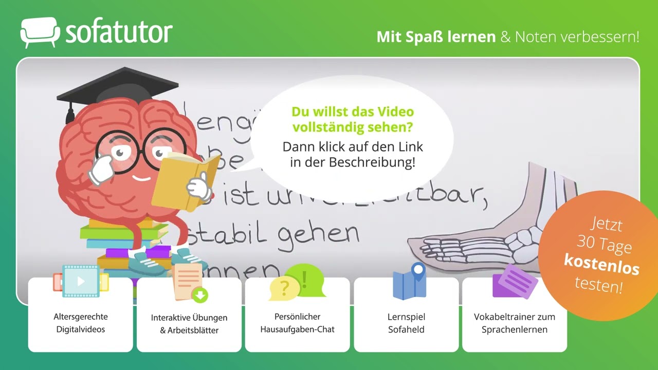 K&ouml;rperbau des Hundes &ndash; Skelett und Gangart