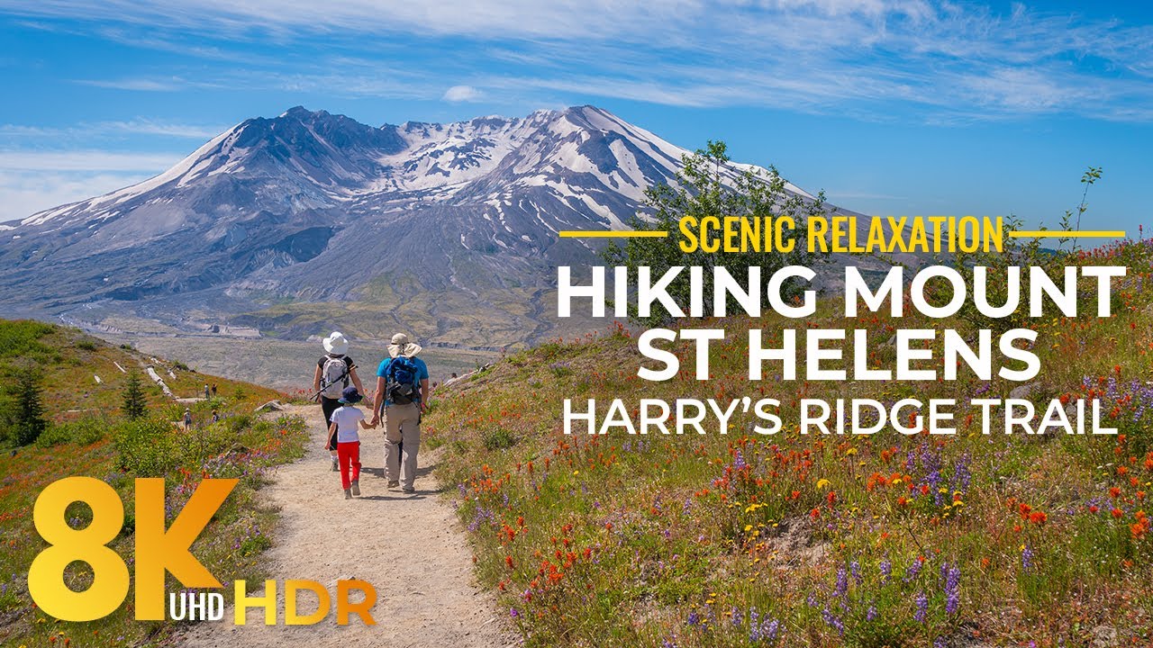Exploring Landscapes of Mount St Helens - 8K HDR Scenic Hike along Harry's Ridge Trail (3 Way View)