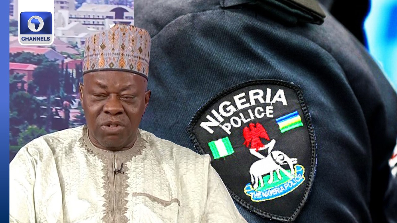 We Will Be In Trouble If State Police Are Under Control Of Governors — Prof Jibrin Ibrahim