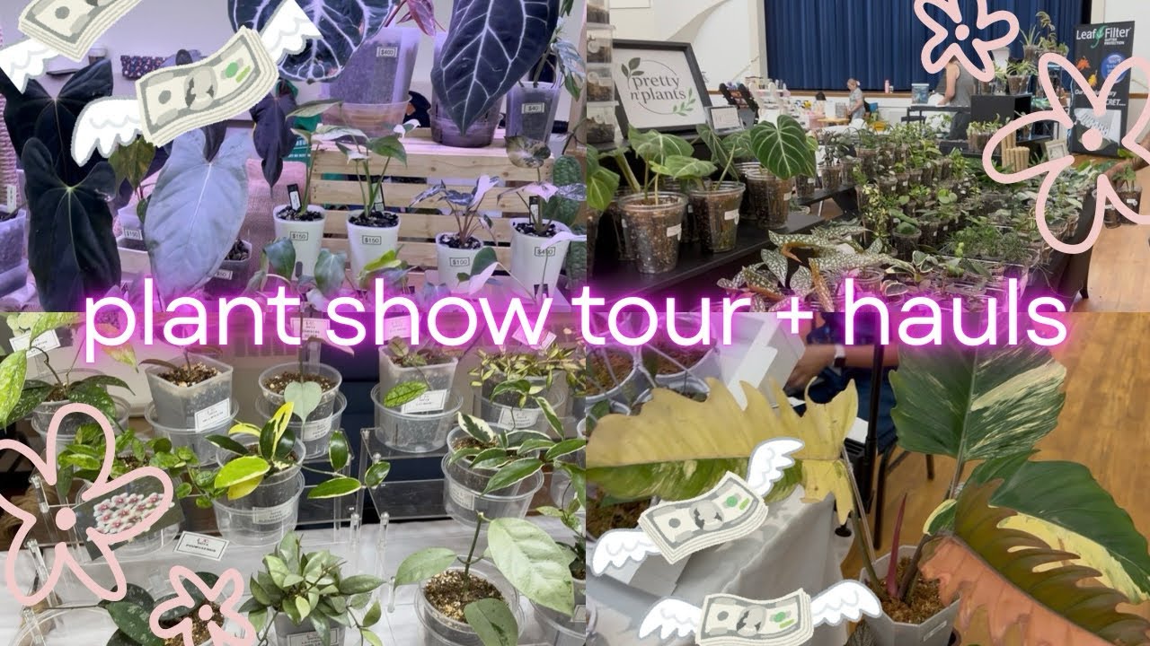 Buying Wishlist Plants at a Canadian Rare Plant Expo | Edmonton Aroid Show