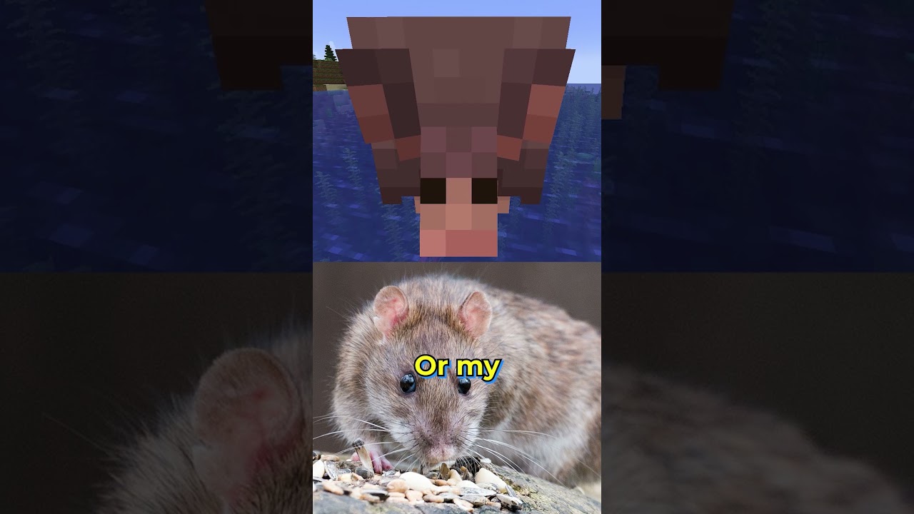 Mojang messed up the Minecraft Armadillo (they fixed it)