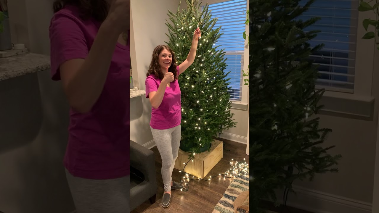My favorite HACK for hanging lights on a Christmas tree