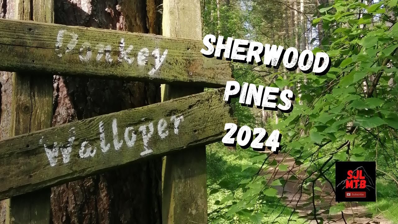 Sherwood Pines 2024: What's new?