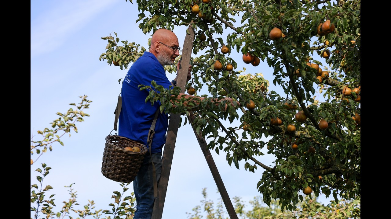 De Boer Op - Boerderij Weltevreden