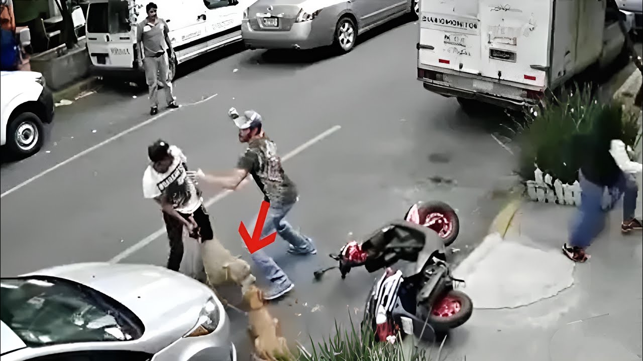 أغرب سرقات فاشلة صورتها كاميرات المراقبة!! بشر ندم على ما فعل