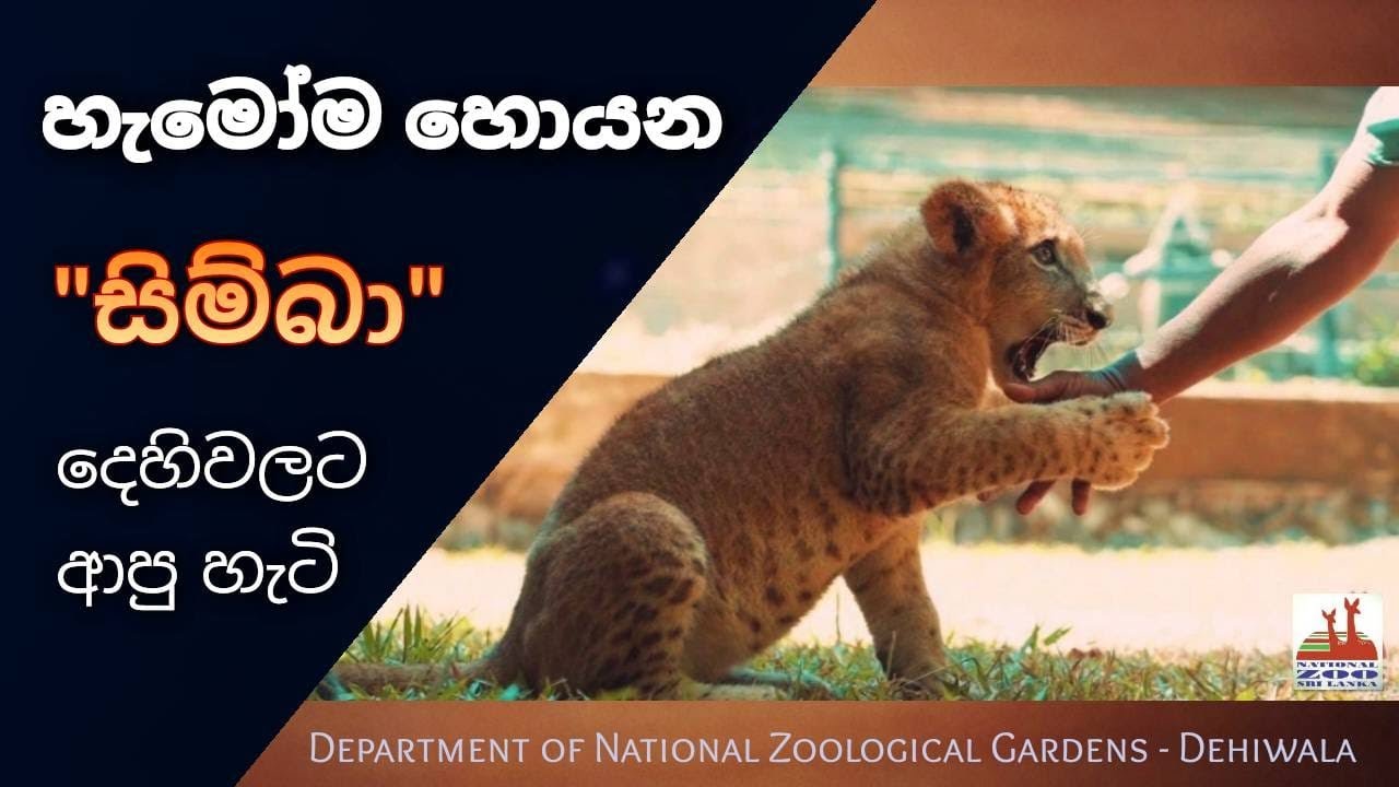 හැමෝම දන්න 