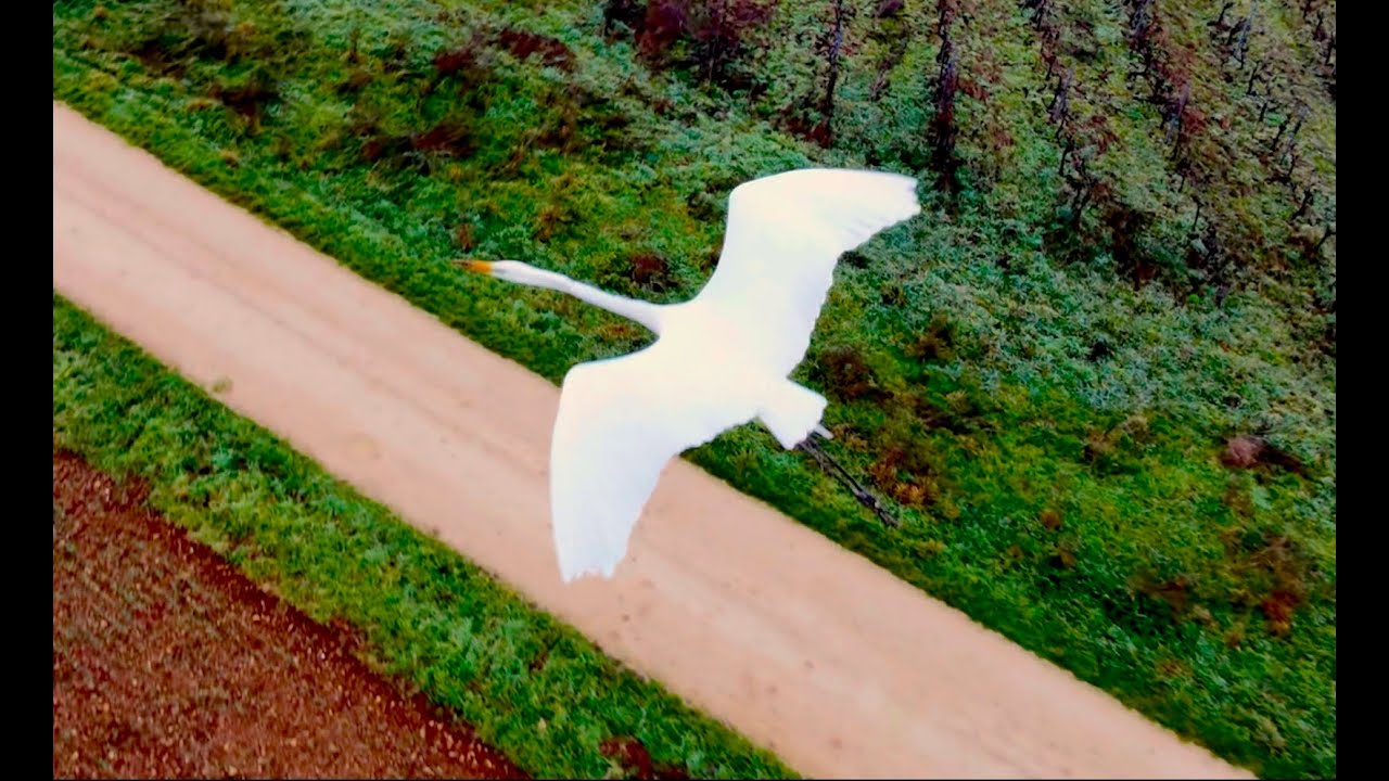 FPV Jour 7 Dji Neo 2 mode manuel