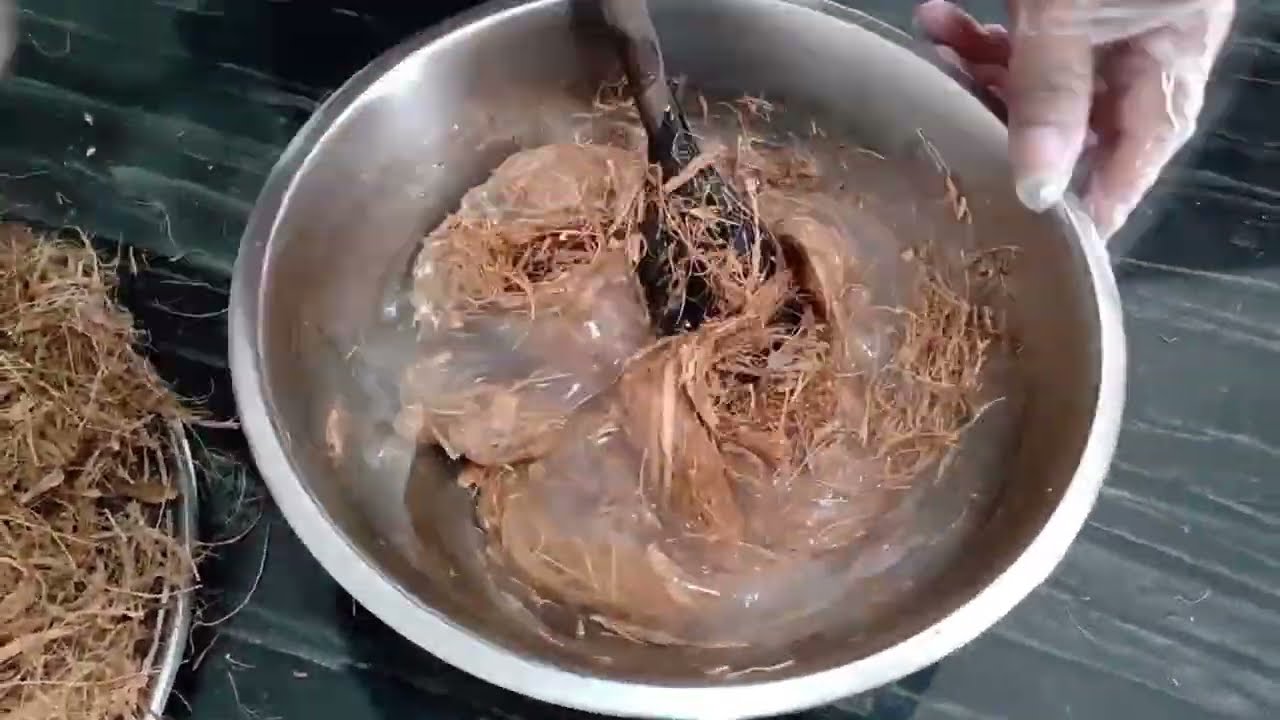 CONFECCIONANDO VASO COM FIBRA DE CÔCO - RECICLANDO E TRANSFORMANDO -#coco#fibradecoco#viral#shorts