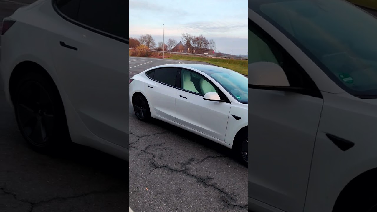 Tesla Model 3 SR Walkaround