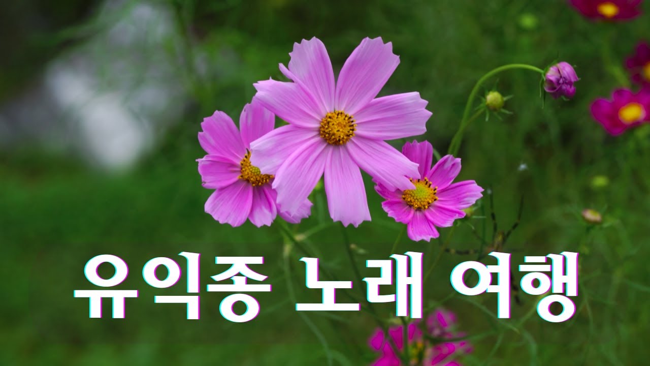 #유익종노래여행#유익종노래모음BEST#힐링음악#중장년힐링#추억의가요#7080가요#감성음악#휴식음악#마음치유#잠잘때듣는음악#운전할때듣는음악#집중음악#힐링시간#노래로떠나는여행