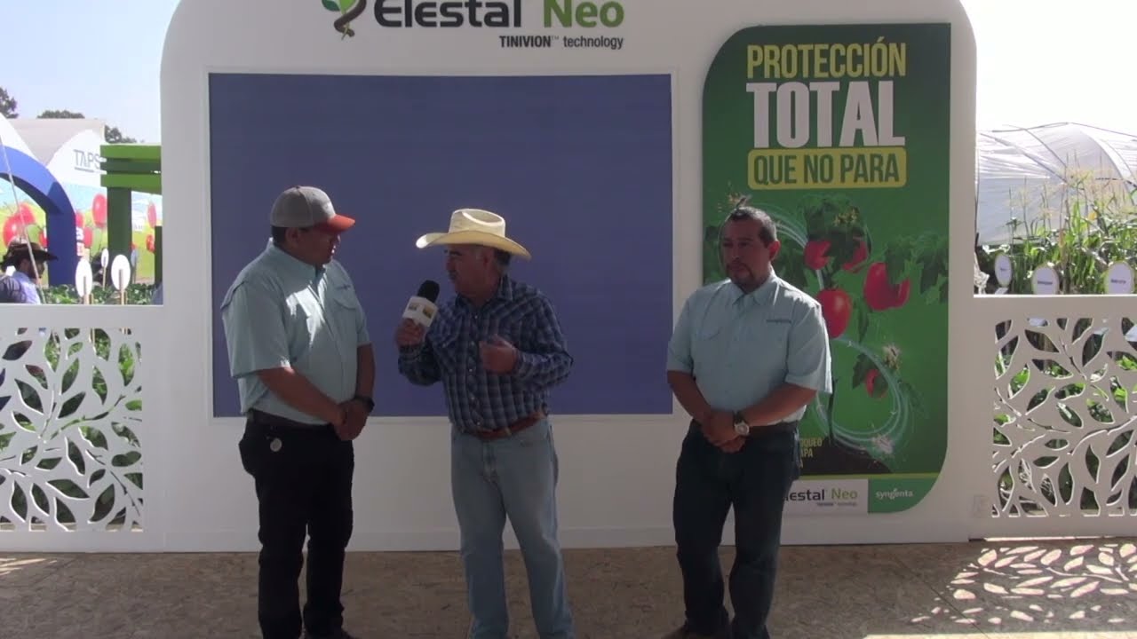 Elestal Neo lo mas nuevo en tecnolog&iacute;a de Syngenta para el agricultor de M&eacute;xico.