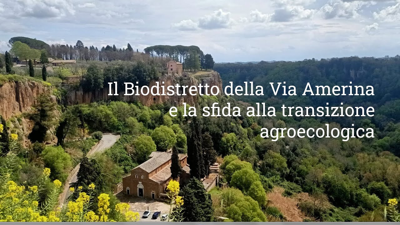 Il Biodistretto della Via Amerina e delle Forre. La sfida alla transizione agroecologica