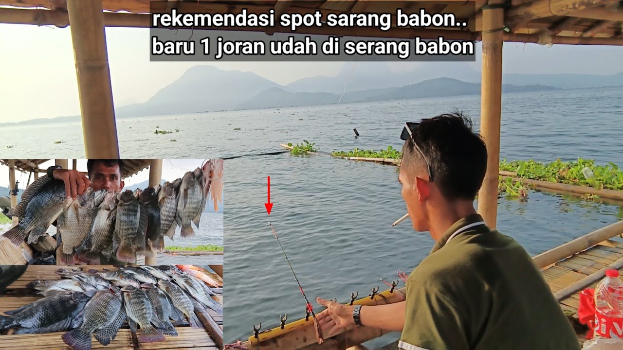 Mancing jatiluhur...spot idaman para pemancing babon nya melimpah...