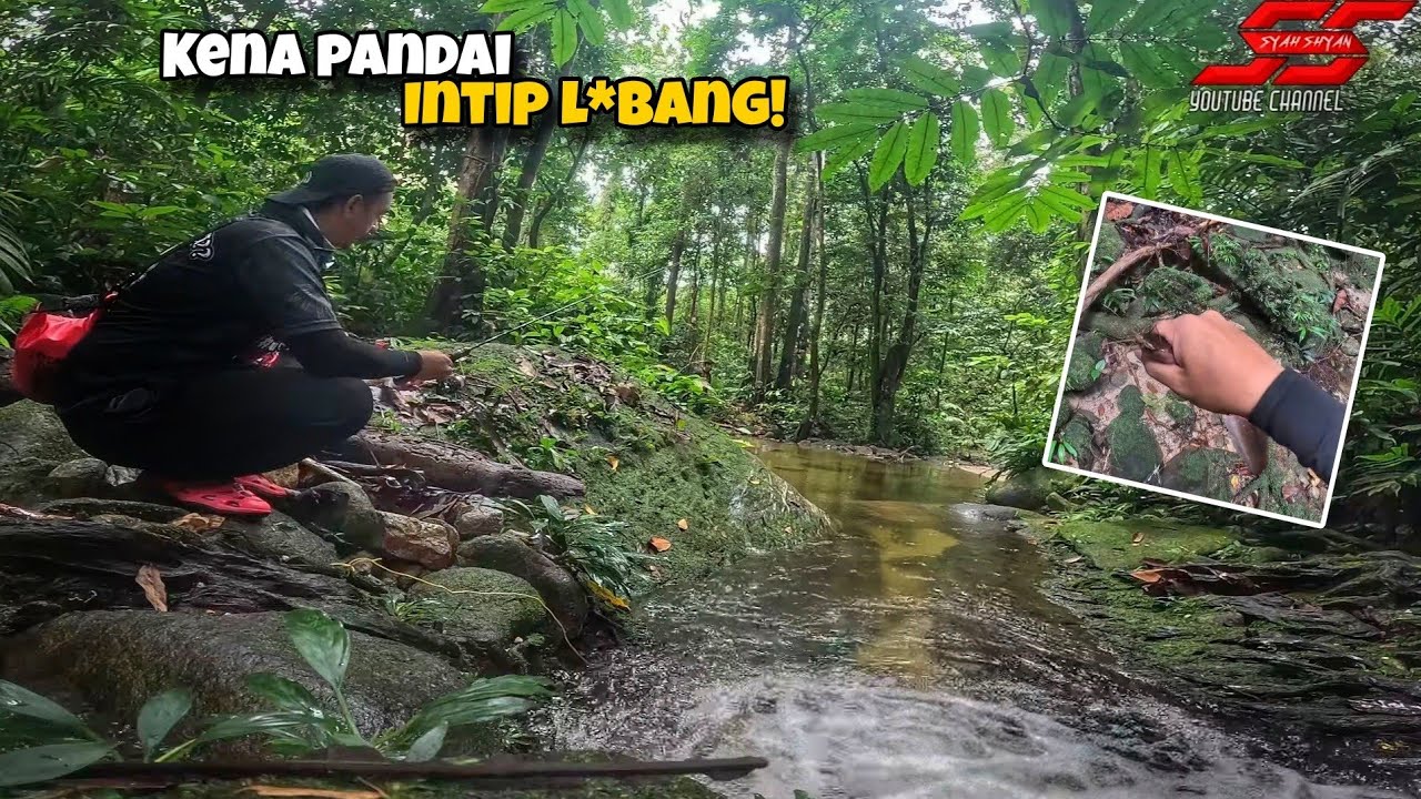Lain di Buru Lain Dapat‼️ Spesis Pendatang Dah Muncul Disini⁉️