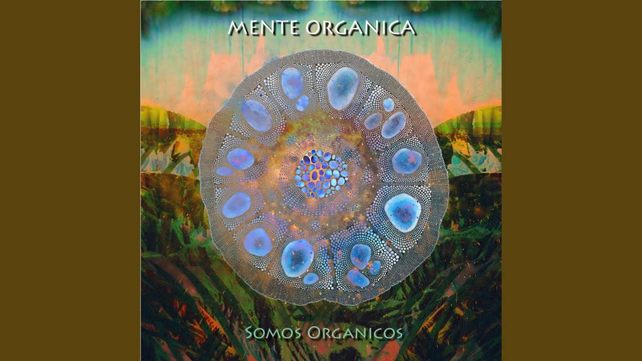 Divinorum