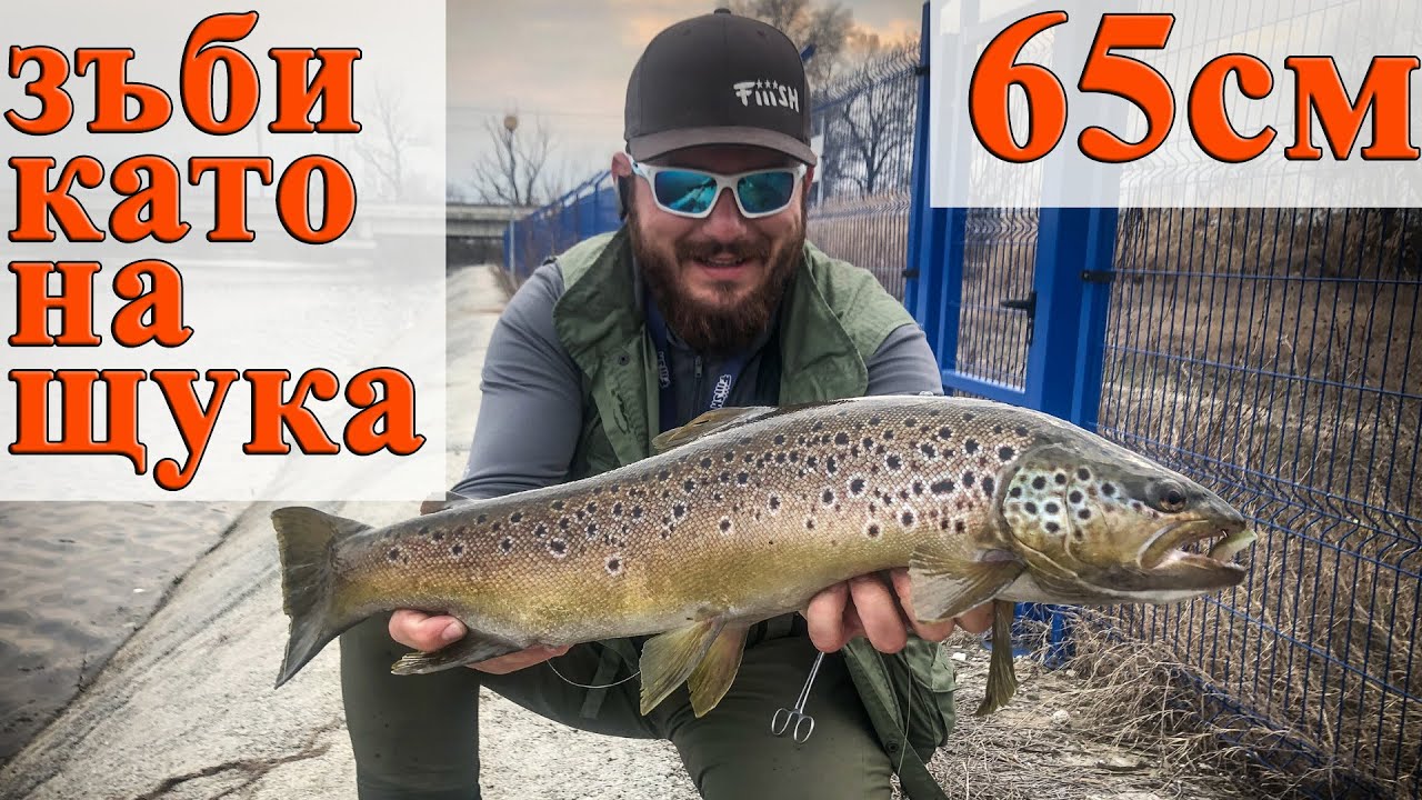 Хванах ОГРОМНА 65см балканска пъстърва. Риболов на големи пъстърви