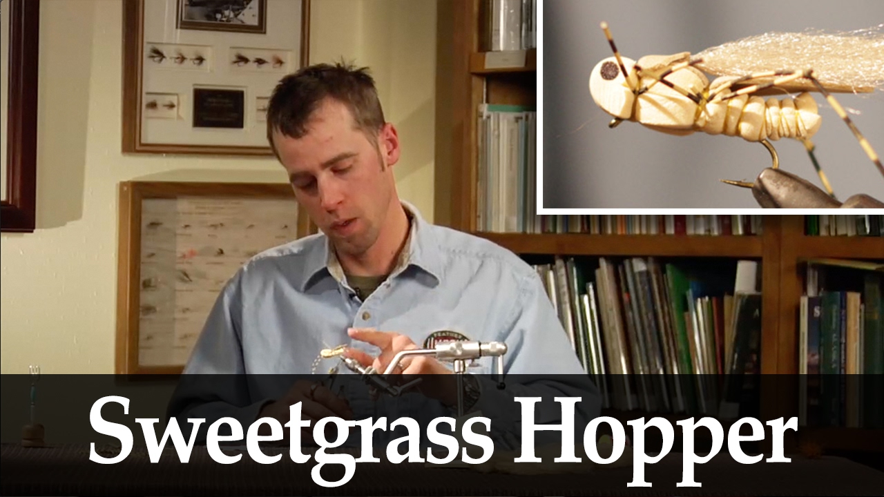 Doug McKnight: Sweetgrass Hopper