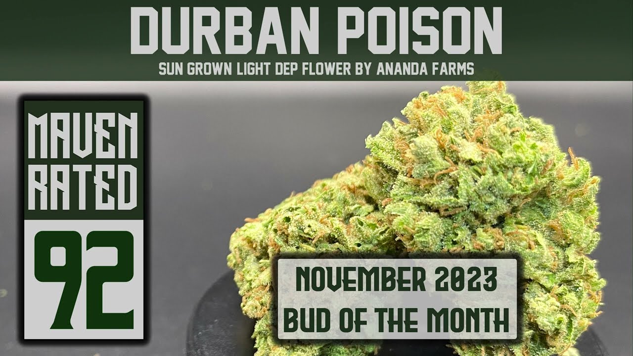 11-23 BOTM Part 1: DURBAN POISON BY ANANDA FARMS! Maven Rated 92 points!!!