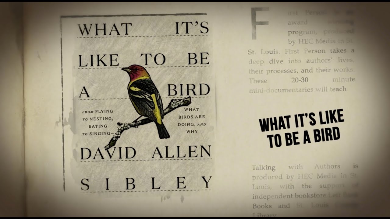 What It's Like to Be a Bird, A Conversation with David Sibley