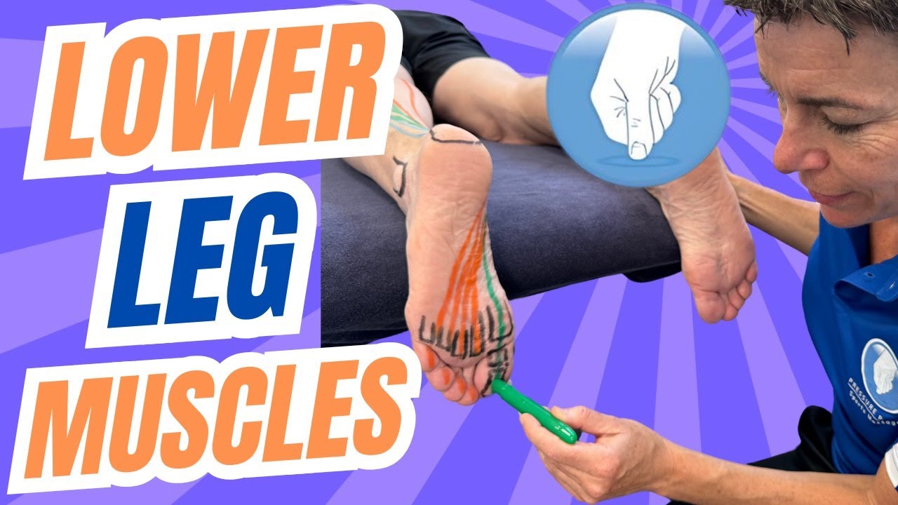 4 Essential Deep Lower Leg Muscles You Need to Know!