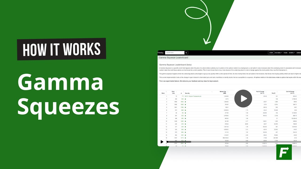 New Gamma Squeeze Leaderboards (How It Works) &minus; Fintel.io