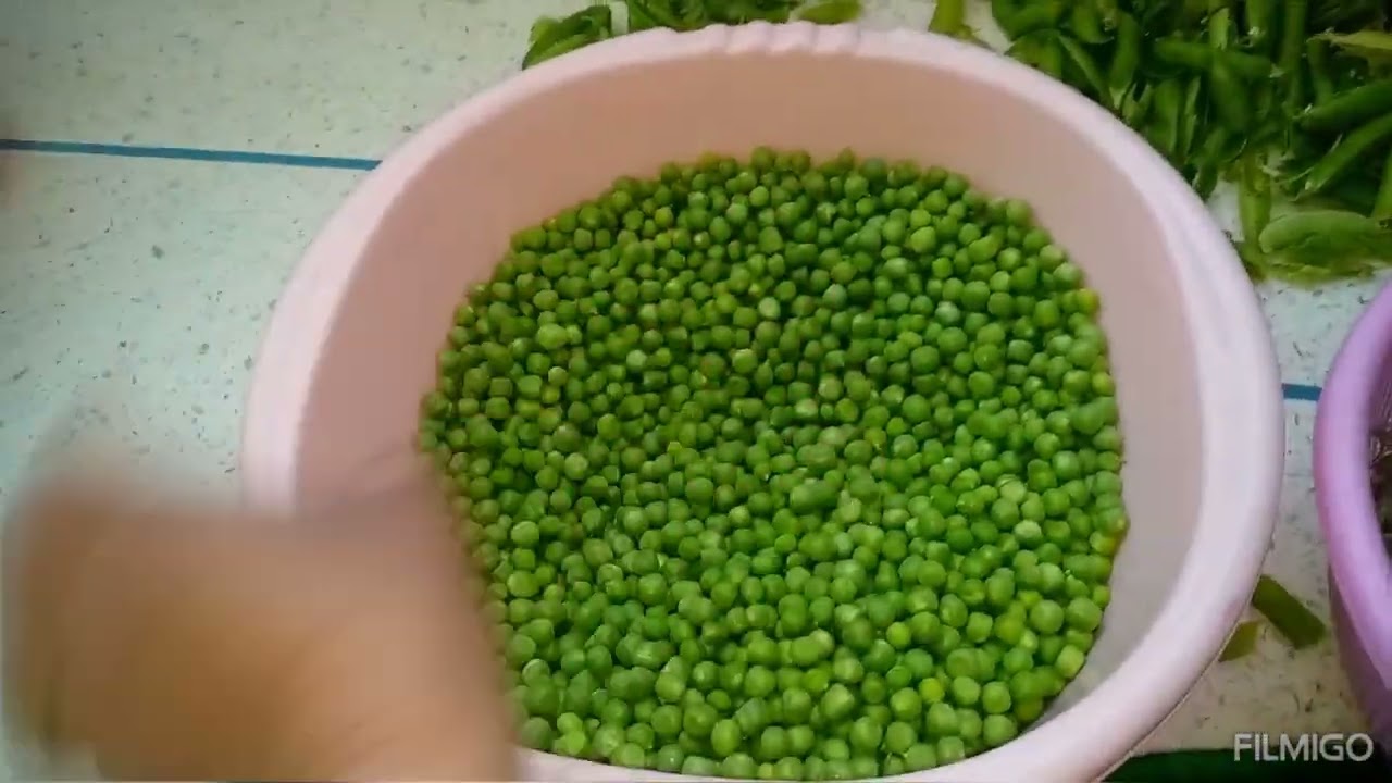 فيديو جديد مع نادية مربوحة