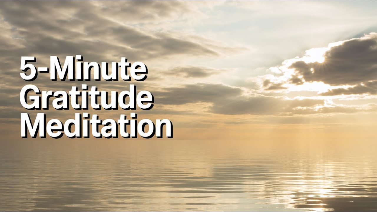 5 Minute Gratitude Meditation | Calm Your Mind & Reset Your Nervous System