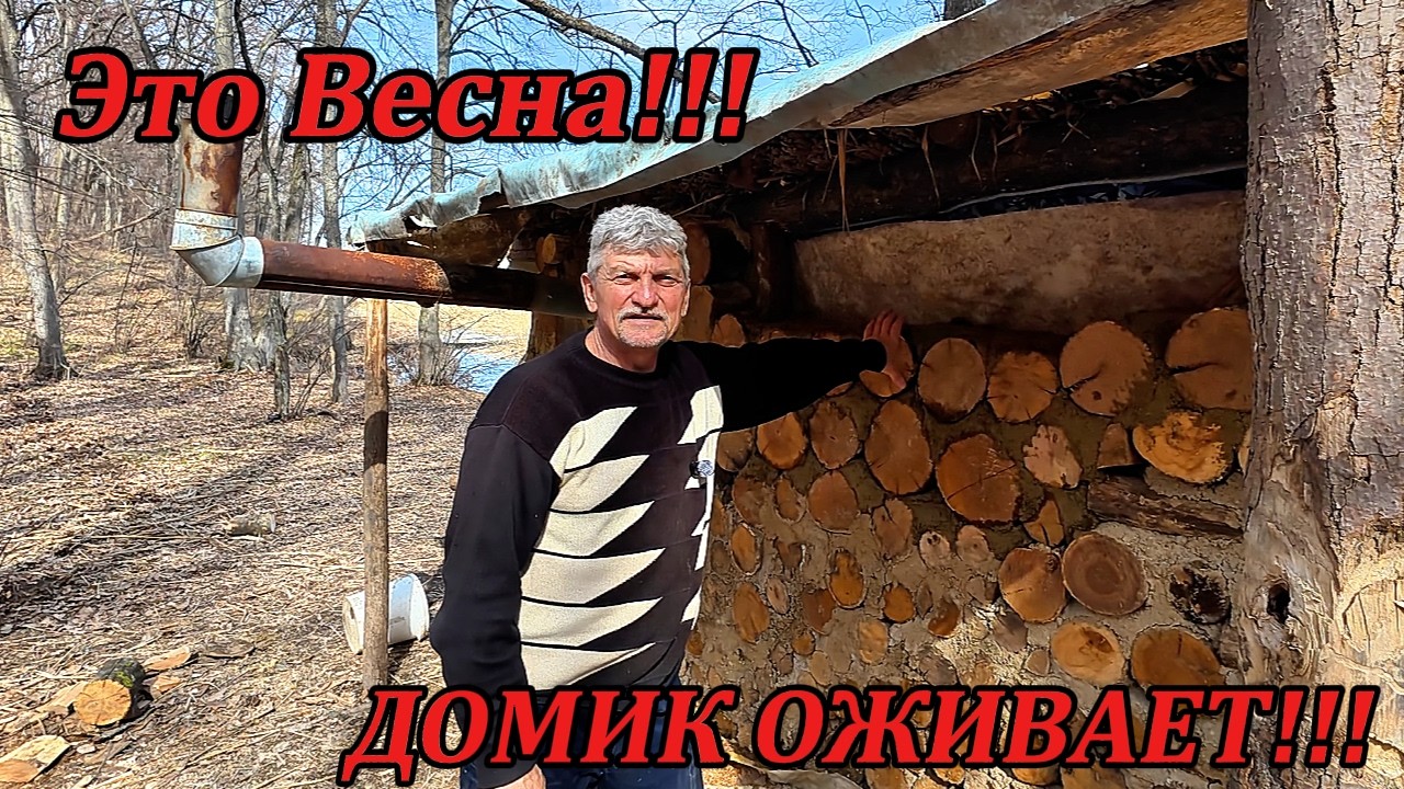 Лесной домик оживает вместе с весной.