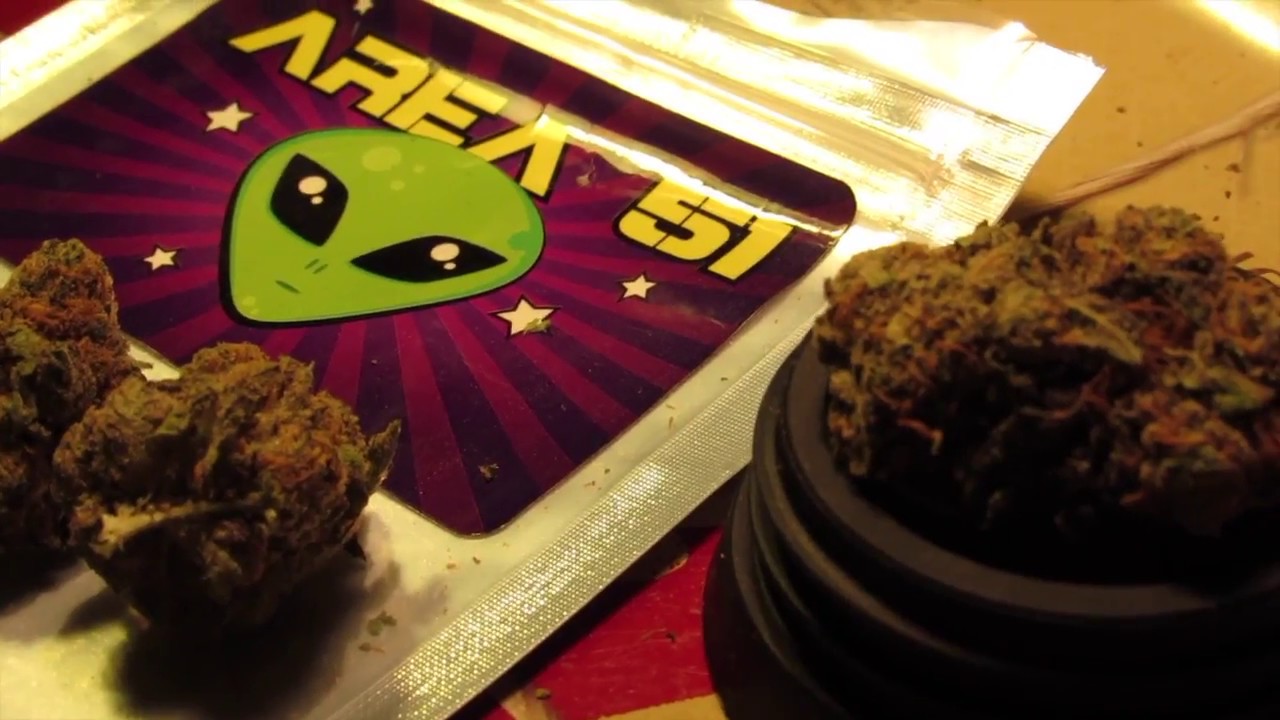 Grape God Strain Review!