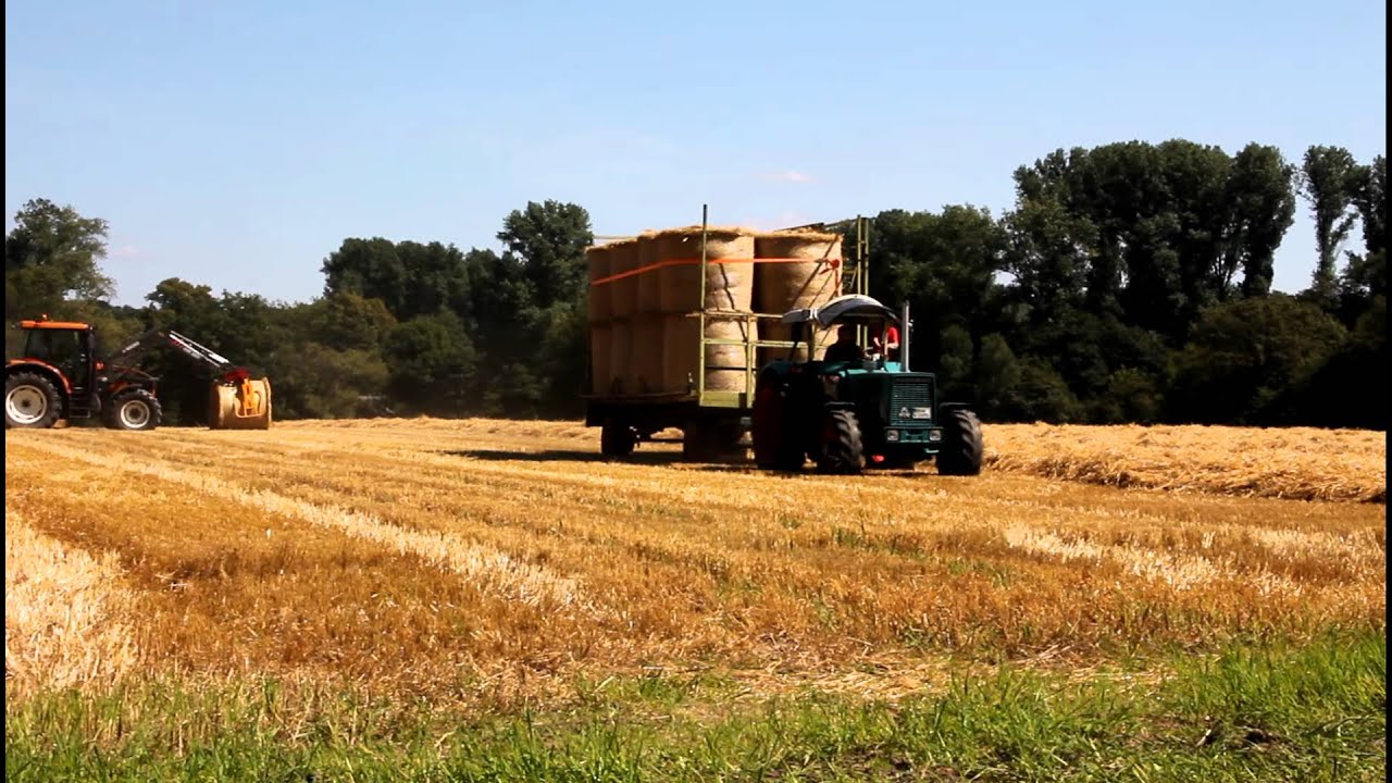 Hanomag Robust 901 Strohernte 2012 Teil 2