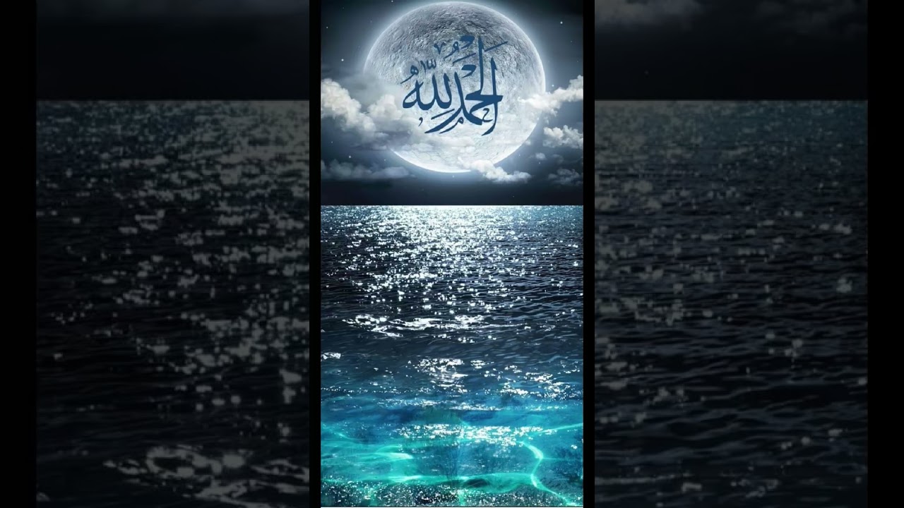 Allah✅️