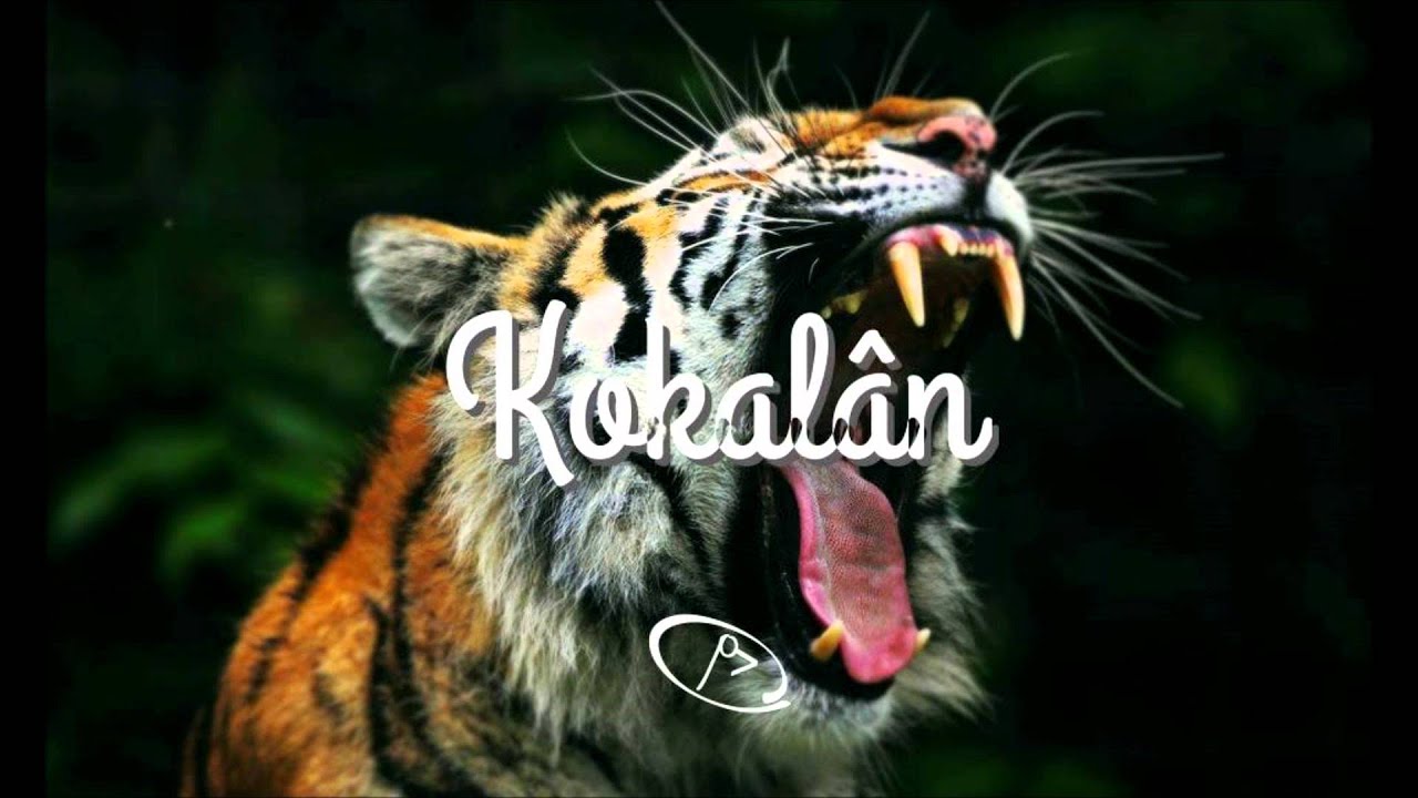 Flood - Bullets Fly (Ratatat Loud Pipes Remix)
