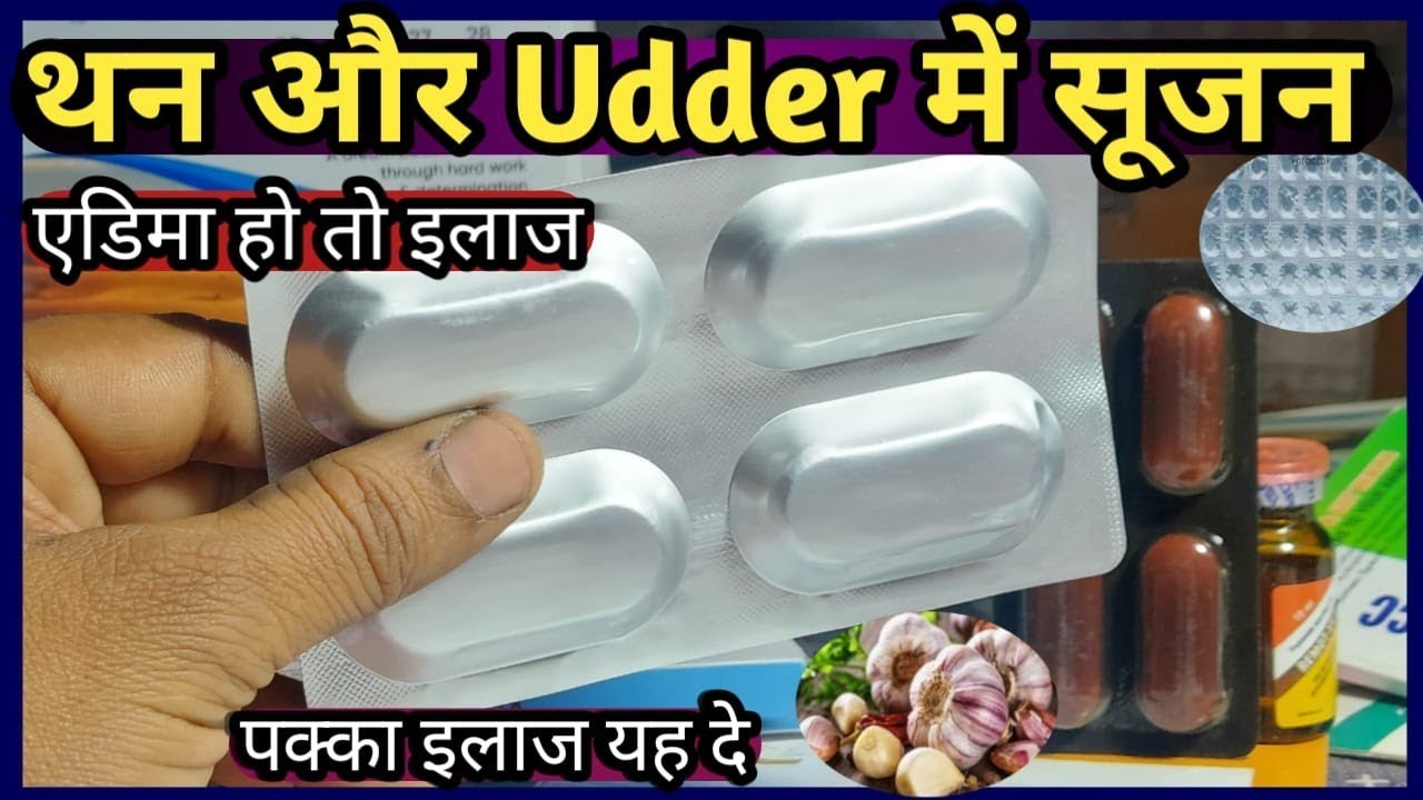 पशुओं के थन(Teat) और Udder में सूजन/एडिमा(Edema) हो तो इलाज||Teat Udder mein Swelling Edema se