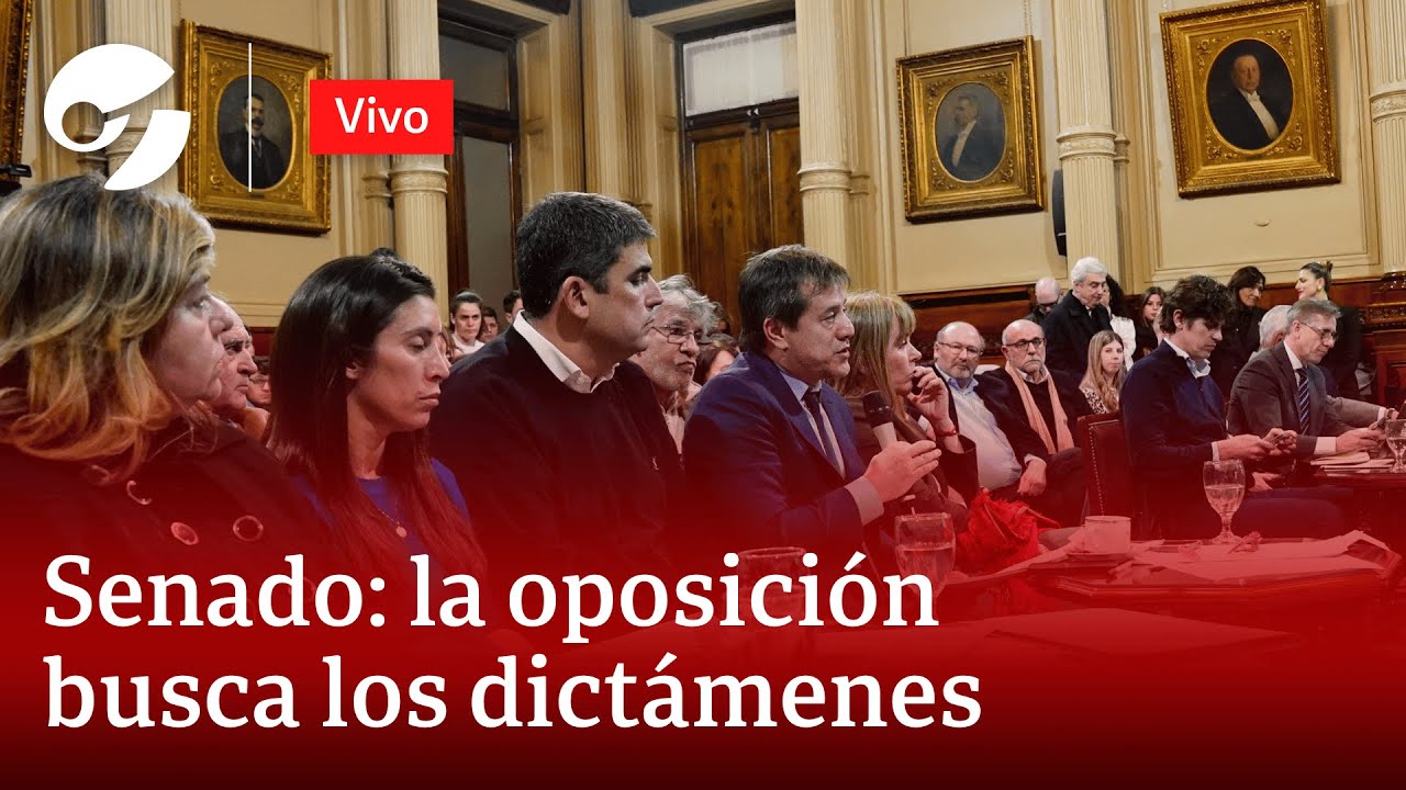SENADO: LA OPOSICIÓN INSISTE CON EL FINANCIAMIENTO UNIVERSITARIO Y LA EMERGENCIA PEDIÁTRICA