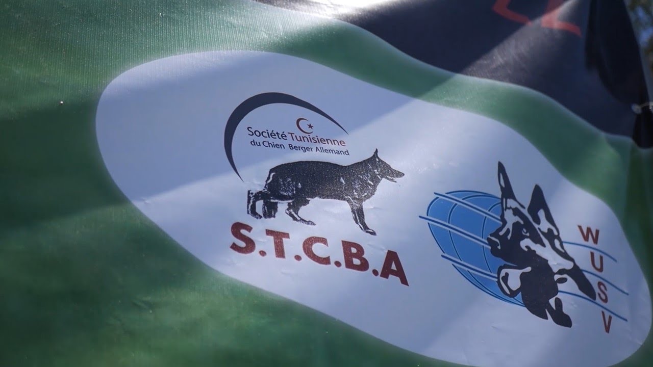SIEGER SHOW TUNISIA STCBA WUSV/ Mai 2022/ Juge SV Erich BOSL/ DAY 2