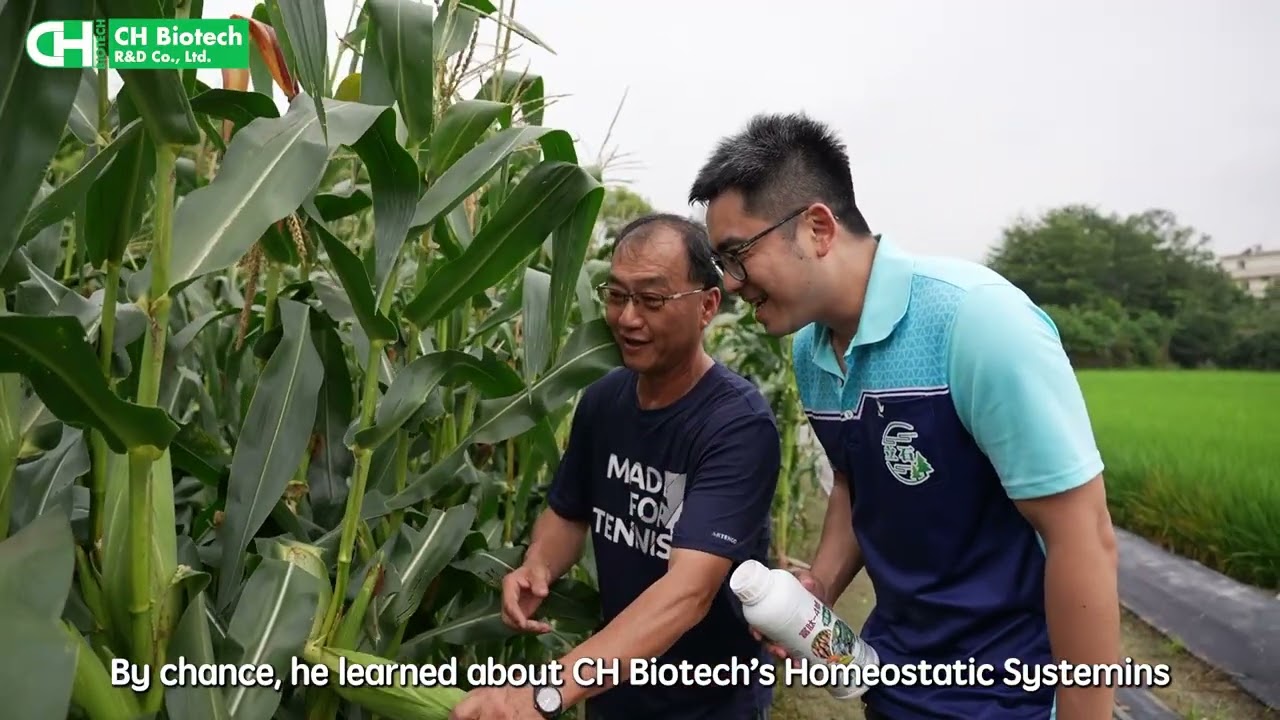 Homeostatic Systemins on Vegetable Crops: Fresh Sweet Corn - Full