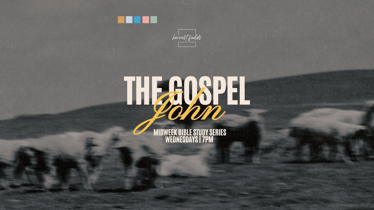 Harvest Fields | The Gospel of John | Part 6