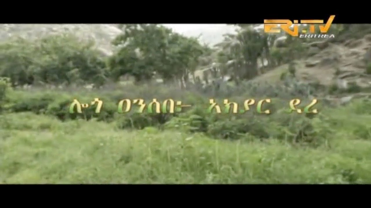 ERi-TV, #Eritrea - ሄራር፡ ሎጎ ዐንሰበ አክያር ደረ