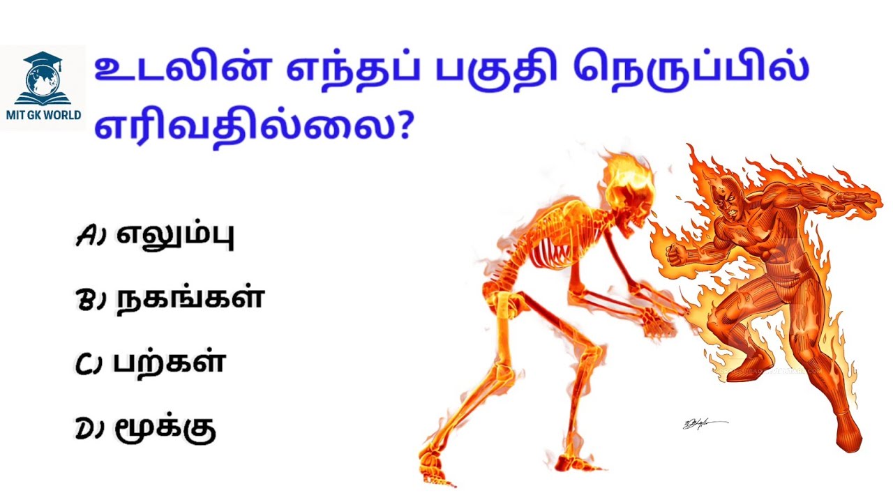 GK Questions in Tamil | TNPSC GK Quiz with Answers | Daily Tamil General Knowledge | MIT GK | 18