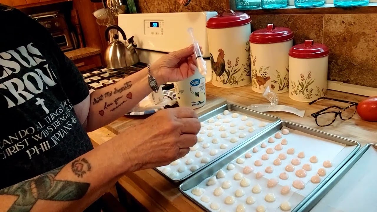 YOGURT DROPS MELT IN YOUR MOUTH #harvestrightfreezedryer #dehydrator #snacks #pantry #prepper